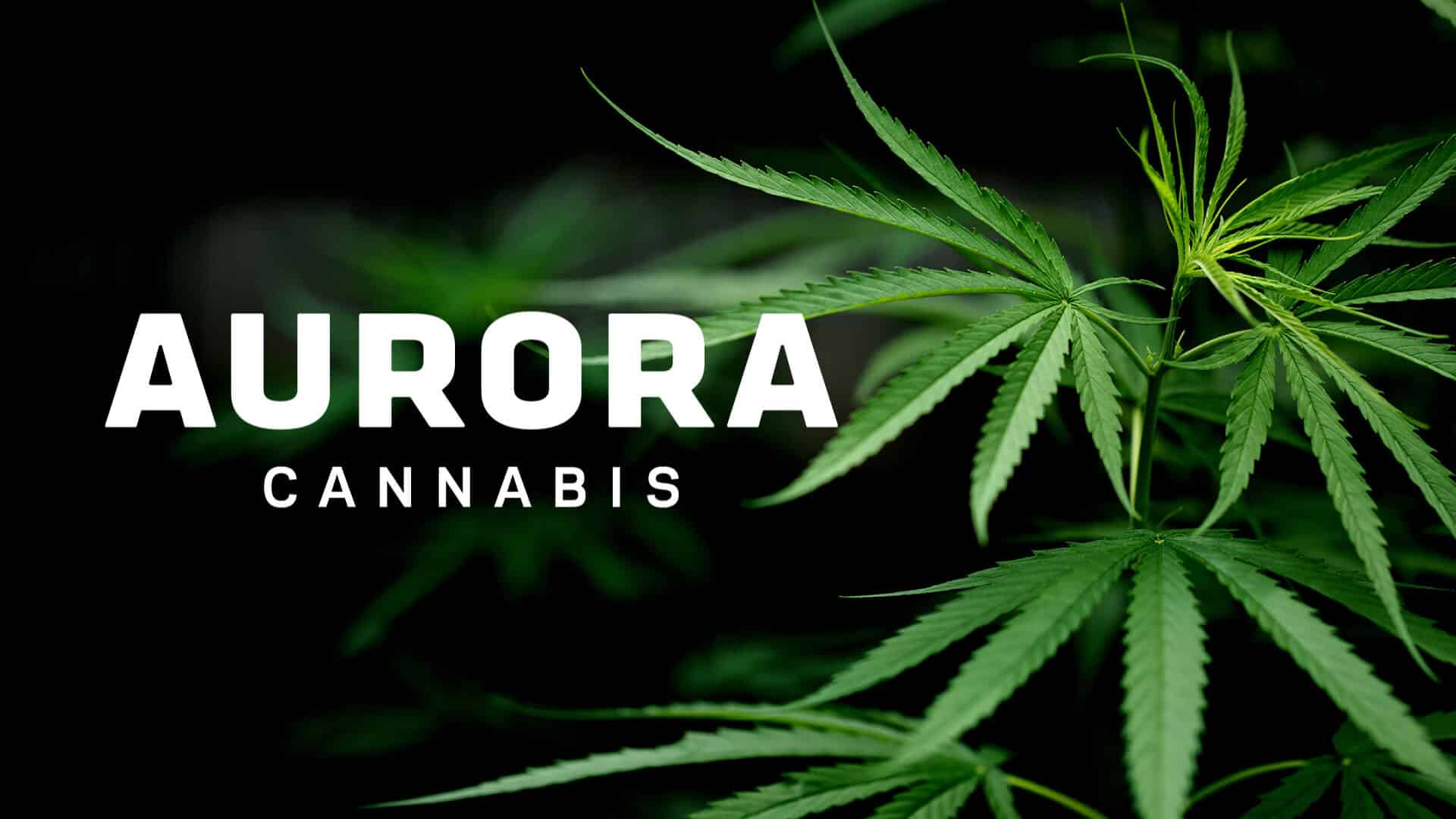 Aurora Cannabis Has Opened a Flagship Store in West Edmonton Mall