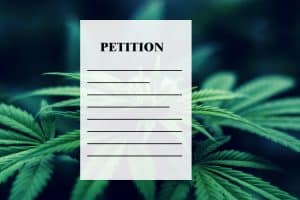 Petition seeks medical marijuana for ailing household pets