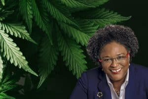 Prime Minister Mia Mottley Promises, debate on the Sacramental Cannabis Bill 2019, country will vote on marijuana