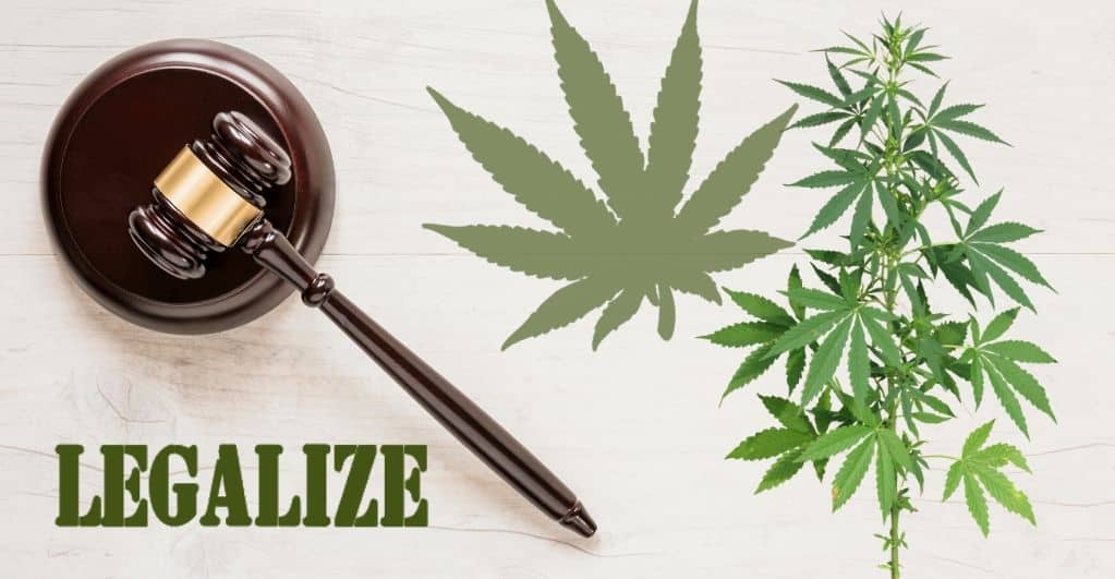 Everything You Need To Know About Cannabis Legalization